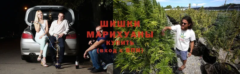 Марихуана LSD WEED  наркота  Черногорск 